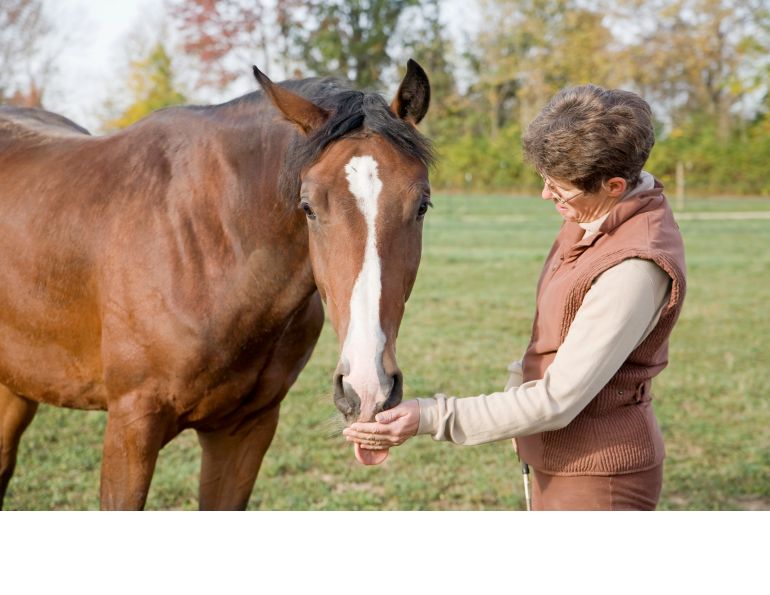 horse psychology equine mark andrews equine cognition, dominant rider, submissive rider