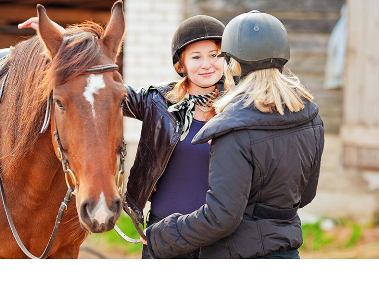 horse industry gossip, gossip horse industry, equine lawyers in canada, horse lawyers canada, karen weslowski horse industry gossip, gossip horse industry, equine lawyers in canada, horse lawyers canada, karen weslowski