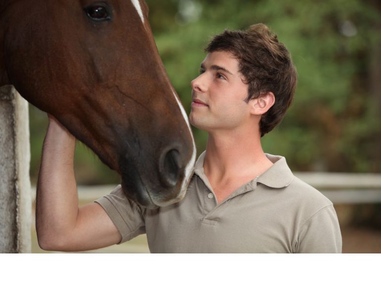 spoiled horses, will clinging, nervous horse, scared horse, difficult horse