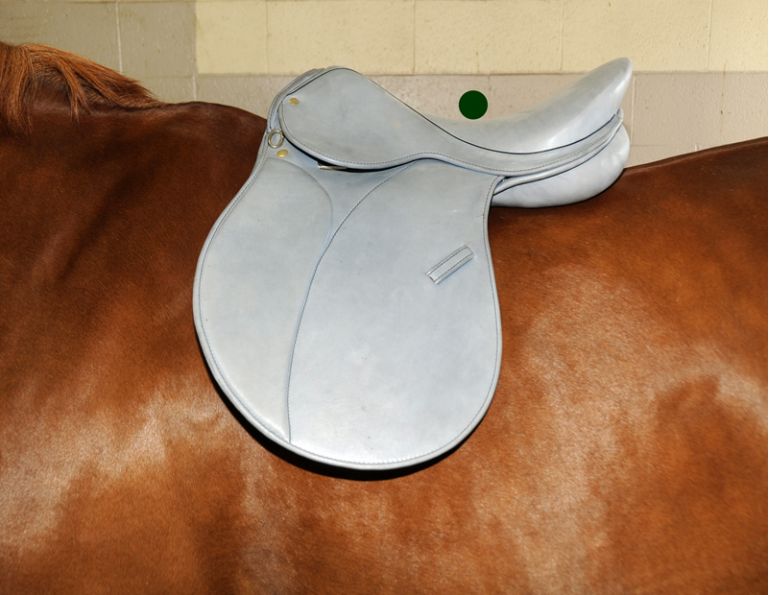 9 Point Saddle Fit, Jochen Schleese, proper horse saddle fitting, Withers Clearance, Gullet width, channel Width, horse saddle tree angle, equine saddle fitting 9 Point Saddle Fit, Jochen Schleese, proper horse saddle fitting, Withers Clearance, Gullet width, channel Width, horse saddle tree angle, equine saddle fitting