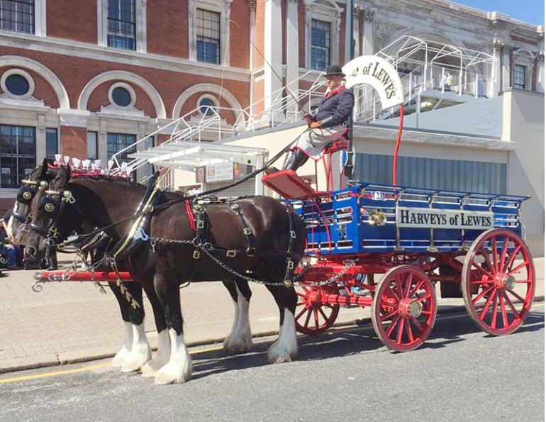 horses jobs, equine jobs, dray horse, Drayhorse Shires, draft horse, draught horse, Percherons, Connemaras