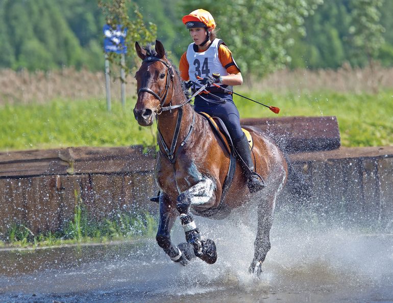 choosing an eventing horse, off the track thoroughbred rescue, rehoming thoroughbred racehorses, equine science update