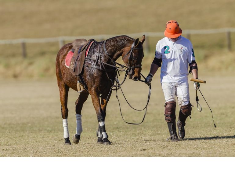 Equine Tying Up Syndrome, pssm, rer, polysaccharide storage myopathy recurrent exertional rhabdomyolysis Fabienne Uehlinger Western College of Veterinary Medicine WCVM