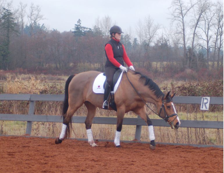 starting out right horse foot, nancy tapley, horse warm-up, Karen brain, horse riding technique, horse training starting out right horse foot, nancy tapley, horse warm-up, Karen brain, horse riding technique, horse training