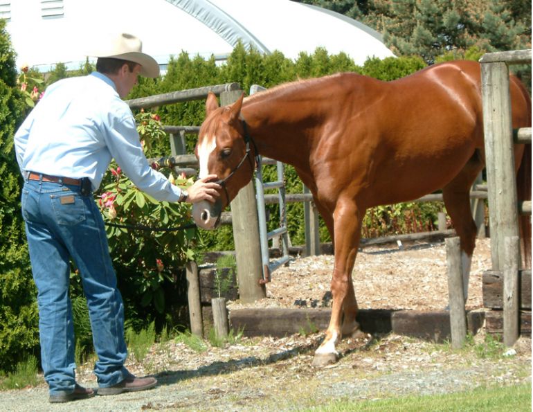 Jonathan Field, fun horse riding, setting horse riding goals, make horse riding fun Jonathan Field, fun horse riding, setting horse riding goals, make horse riding fun