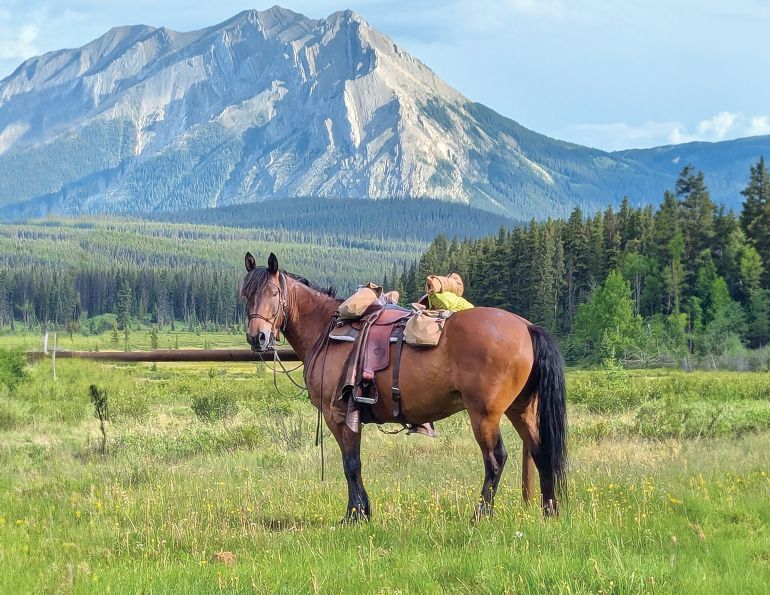trail riding preparation, horse fitness training, trail horse skills, equine conditioning program, horse camping trips Canada, rider fitness equestrian, trail riding safety, horse training for trails