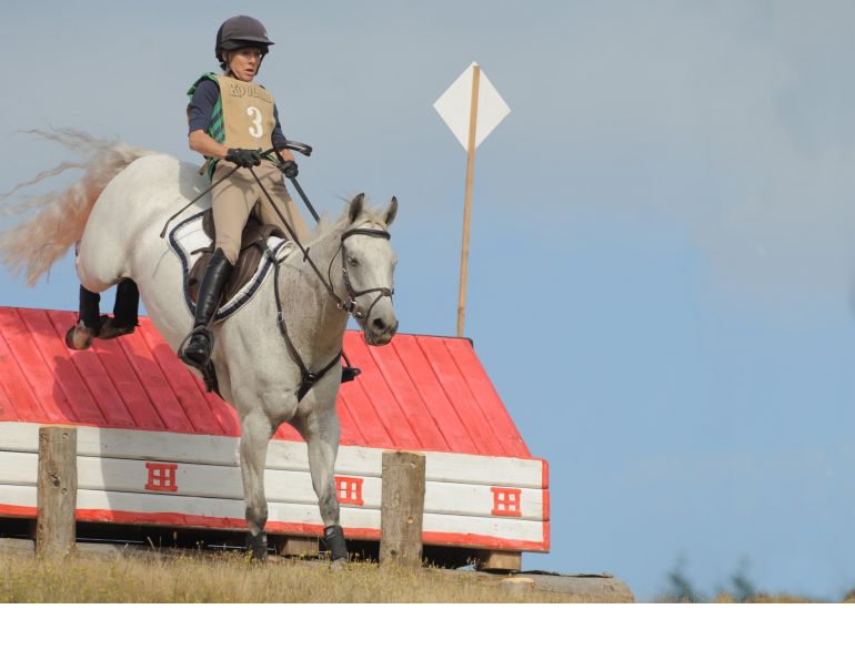 Suspensory Ligament Injuries horse, Suspensory Ligament Injuries horse treatment, equine cannon bone, Horse Care Equine Health Suspensory Ligament Injury Lameness, Suspensory Ligament Diagnosis, Peri-ligamentous Injections, Shock Wave Therapy, Ligamentous Injections, equine Desmoplasty, equine Fasciotomy, horse care Suspensory Ligament Injuries horse, Suspensory Ligament Injuries horse treatment, equine cannon bone, Horse Care Equine Health Suspensory Ligament Injury Lameness, Suspensory Ligament Diagnosis, Peri-ligamentous Injections, Shock Wave Therapy, Ligamentous Injections, equine Desmoplasty, equine Fasciotomy, horse care