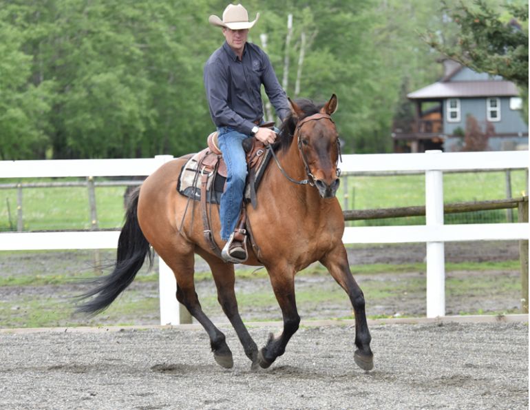 Jonathan Field, how to stop horse bucking, why is horse bucking, horse won't canter trot, groundwork for horse
