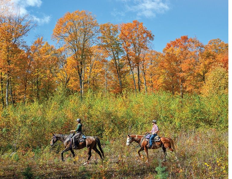 south algonquin equestrian trails, camping with horses, equestrian campsites, horse summer camps, trail riding south algonquin