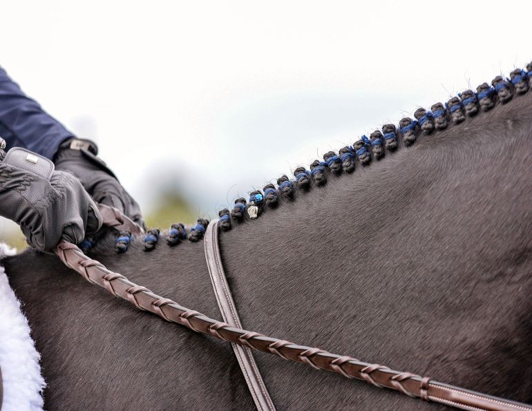 how to braid horse for hunter, how to braid horse for jumper, how to braid horse for dressage how to braid horse for hunter, how to braid horse for jumper, how to braid horse for dressage