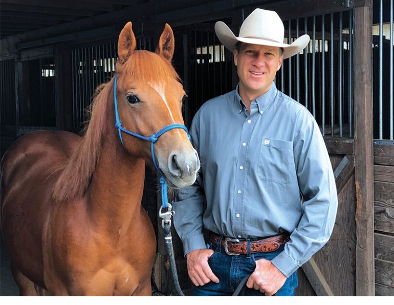 Jonathan Field, Foal horse trailering, colt horse trailering, foals horse trailers Jonathan Field, Foal horse trailering, colt horse trailering, foals horse trailers