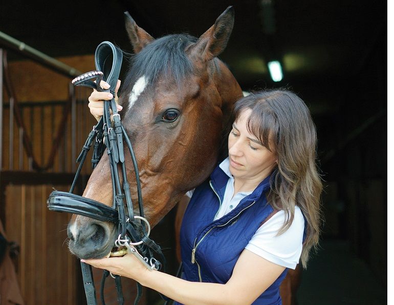 my horse is stressed, anxiety in horses, best learning environment horses, how to be less controlling of my horse