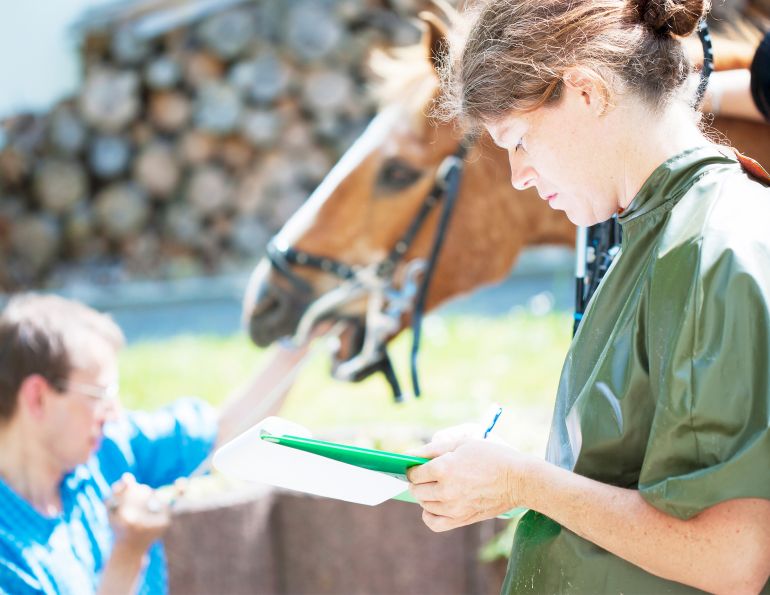 equestrian dental care, dentists for horses, dental checkup for horse, horse veterinarians dental, shelagh niblock, how to care for horse's teeth