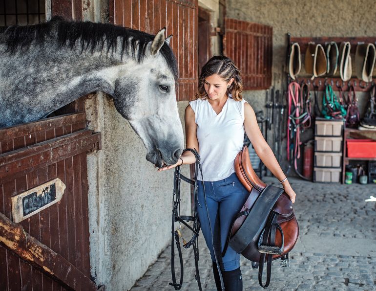 Understanding common legal issues in the horse industry, horse industry legal issues, Understanding warranties in the horse industry, understanding conditions of sale in horse industry, what is the difference between conditions of sale and implied conditions of sale in horse industry, why written contracts are useful in the horse industry, conditions of sale versus implied conditions of sale in horse industry