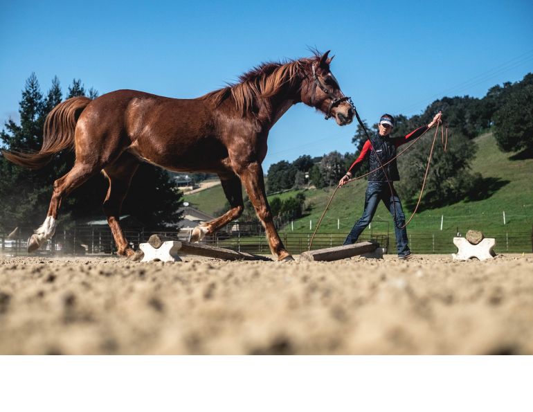 jec ballou online training, jec ballou 30 day core fitness program, jec ballou online courses