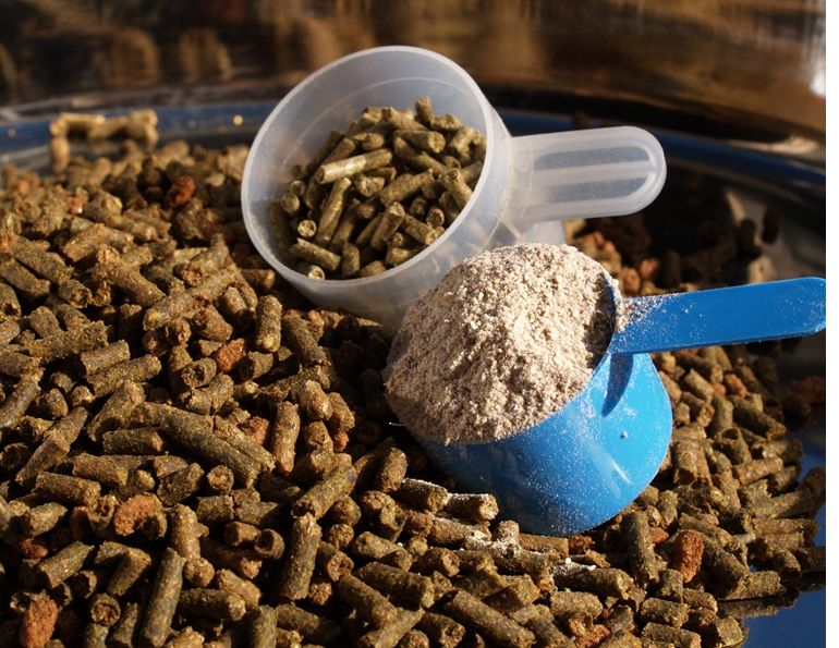 Choosing horse Feed Supplements, Kentucky Equine Research, Dr. Peter Huntington, equine Protein deficiencies, equine supplements, horse minerals, equine electrolytes