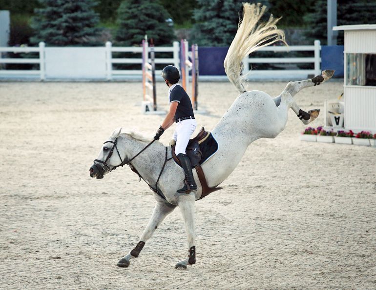 equine science update, is my horse in pain, measuring horse's pain, ridden horse pain ethogram, ridden horse in pain