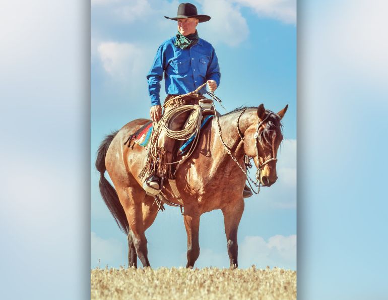 bridle horse riding, tania millen, martin black horse trainer, spanish cowboys, stefanie travers horse trainer, straight up bridle, bosal two rein, roping