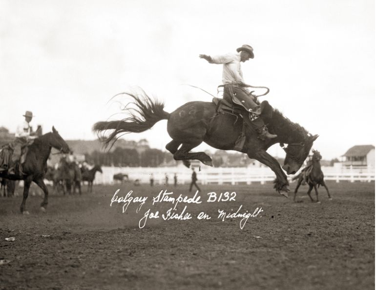 Midnight horse, Jim McNab Cottonwood Ranch, remarkable canadian horse Midnight horse