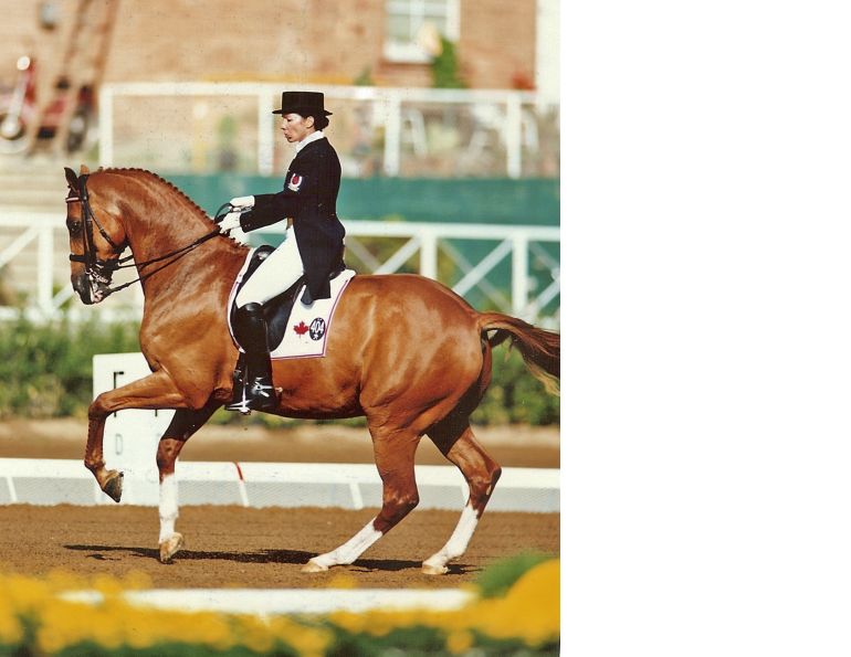 Canada’s dressage team Christilot Boylen retirement from international team dressage christilot boylen the Howdy Doody Show