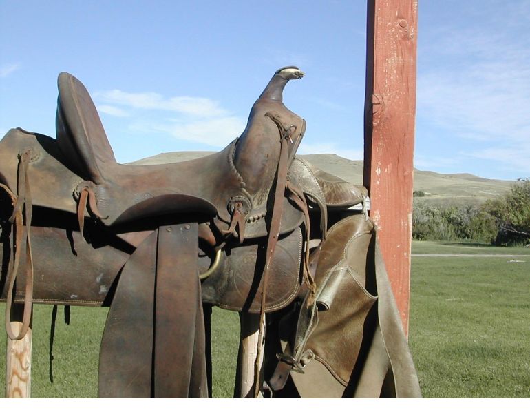 When to keep horse tack, Anna Carner Blangiforti,