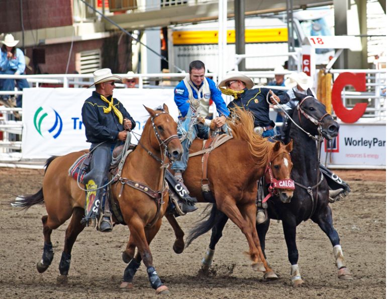 rodeo pick up riders, Gary Rempel rodeo, pick up horses, rodeo horses Canada, equine jobs Canada, horse careers rodeo, Quarter Horses rodeo, Canadian rodeo industry, saddle bronc pickup, bareback riding safety, rodeo horse training, ranch horses rodeo, horse jobs Canada, working cow horse, rodeo arena safety