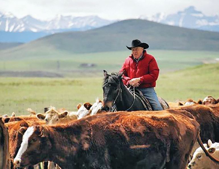 john scott stuntman, alberta order of excellence john scott, movies john scott, horses in movies john scott