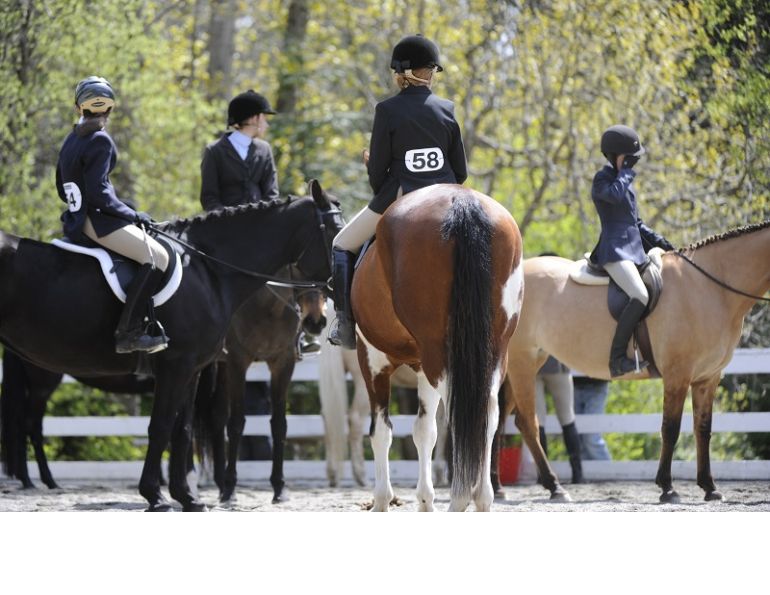 equine vaccination risk, horse vaccinations tetanus wee eee west nile virus horse, potomac horse fever, equine influenza