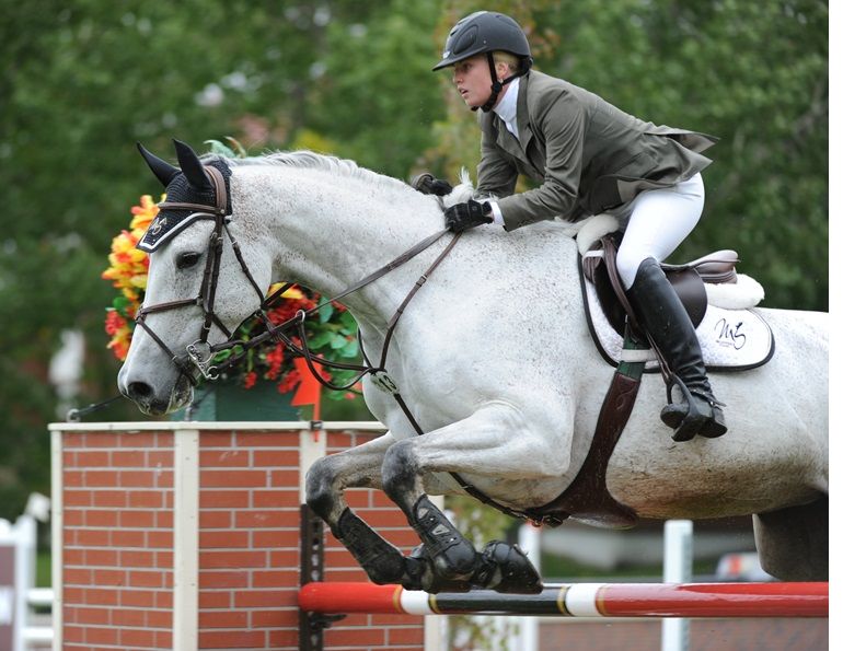 nutritional needs show horses, kentucky equine research, performance horse nutrition