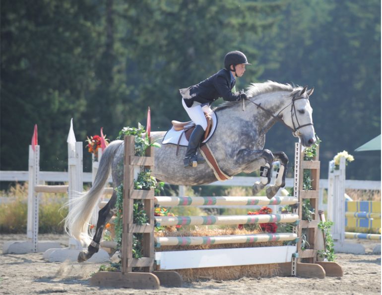 Karen L. Weslowski, horse-related accidents, equine insurance coverage, horse training concerns, horse care, Occupiers Liability Legislation, horse insurance