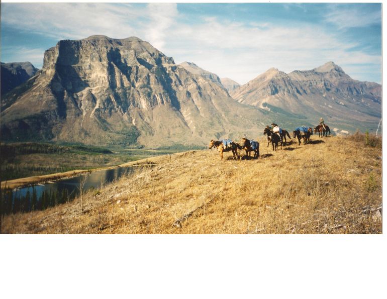 Stan Walchuk Jr, Four More Trail Knots, trail riding rope knot, trail riding tips, trail riding safety, Bowline, horse trail riding, tying horse trail knots Stan Walchuk Jr, Four More Trail Knots, trail riding rope knot, trail riding tips, trail riding safety, Bowline, horse trail riding, tying horse trail knots