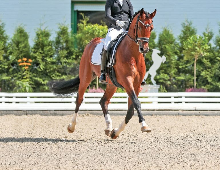 proper riding arena footing, ideal riding arena surfaces, White Paper Equestrian Surfaces, equestrian surfaces, riding arena irrigation systems, riding arena crystalline silica dust