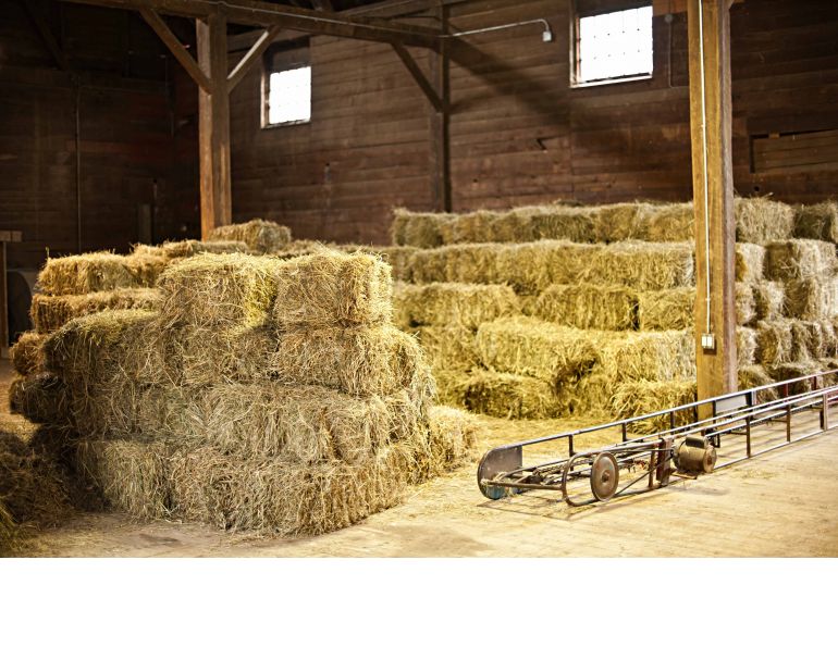 eastern hay corp, horse hay lofts need to be clean. Old horse hay, insects, heat and moisture will be very detrimental to the new horse hay stored in the loft. eastern hay corp, horse hay lofts need to be clean. Old horse hay, insects, heat and moisture will be very detrimental to the new horse hay stored in the loft.