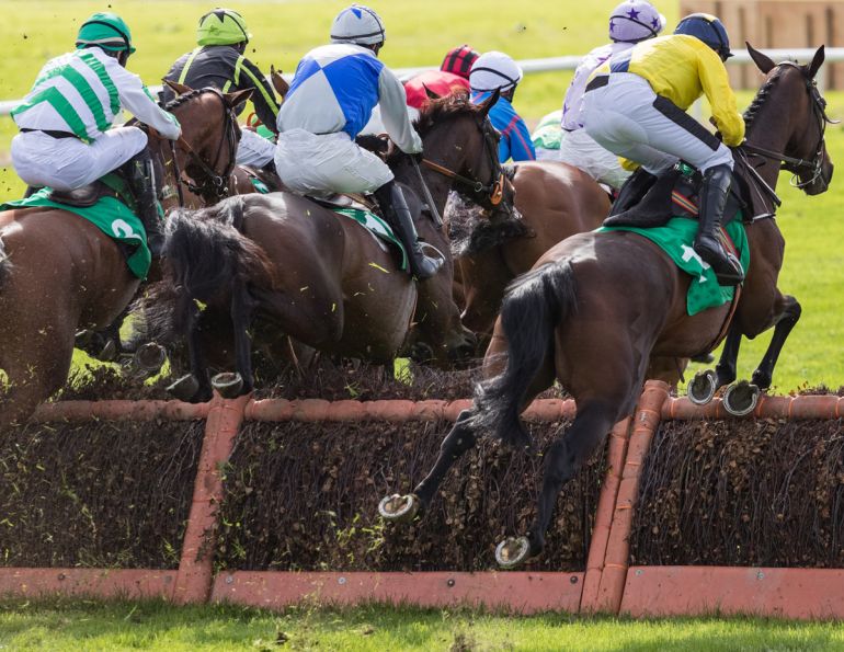 how horses see colour, changes to horse jump racing hurdles and fences, Equine Vision Research, human sight vs horse sight