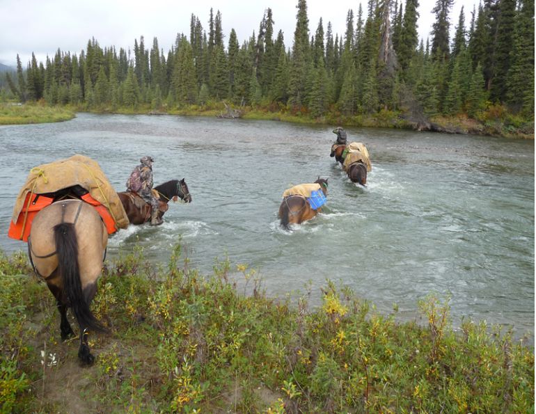 Stan Walchuk Jr, Feeding horses on Trail, trail riding, alfalfa-grass cubes Stan Walchuk Jr, Feeding horses on Trail, trail riding, alfalfa-grass cubes