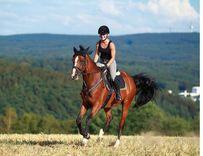 horse respiration, equine fitness, breathing rate horses, conditioning horses, horse heart rate, equine biomechanics, horse training and fitness, respiratory rate exercise