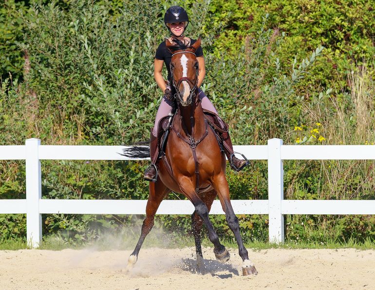 breeding less spooky horses, genetics spooky horse, equine science update mark andrews, what to consider breeding