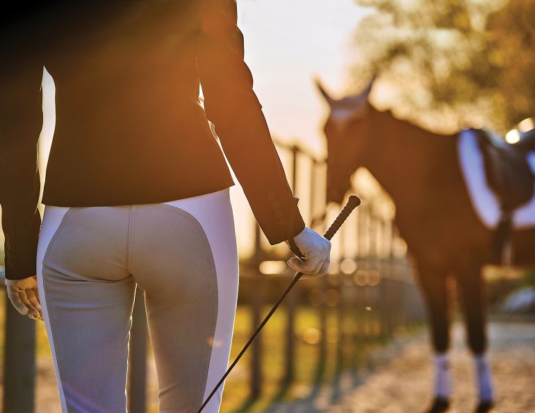 Is dressage unfair to the horse? Is whipping a horse abuse? Changing opinions on animal cruelty, horse welfare in sport, updated horse welfare policies, equestrian pentathlon controversy, drawing new guidelines for horse welfare and safety