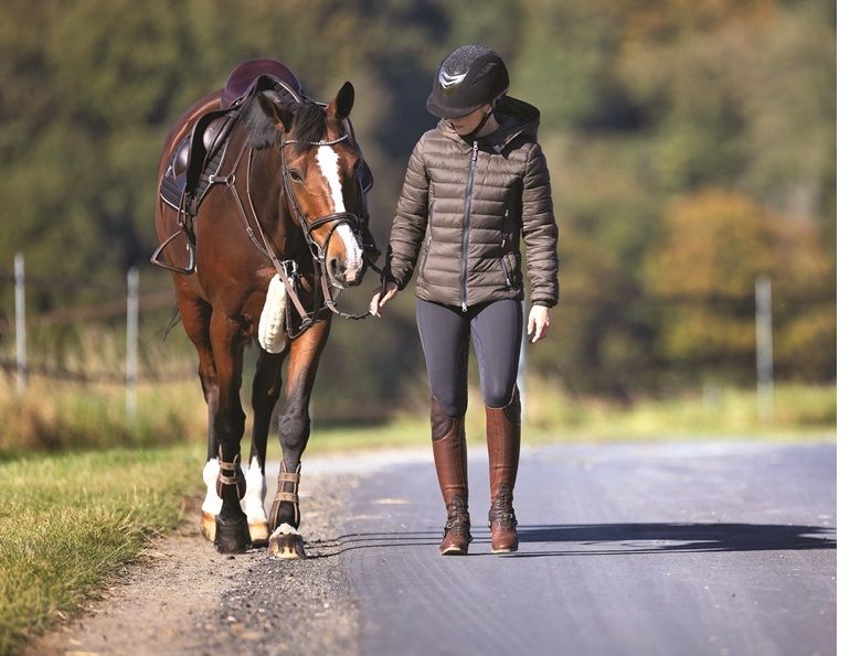 katy white dvm, burwash equine services, equine osteoarthritis, burwash equine services, oa in horses, treating arthritis horses, when horse ultrasound, preventing arthritis horses, injections horse arthritis