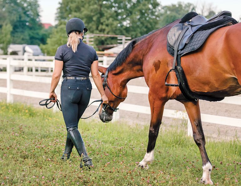 Alexa Linton, how to tell if your horse is ready to be ridden, signs your horse is ready to be ridden, how to prepare your horse to return to the riding ring, understanding equine preparatory groundwork, thoracic sling for horses, what age should I start my horse? understand the value of groundwork for your horse