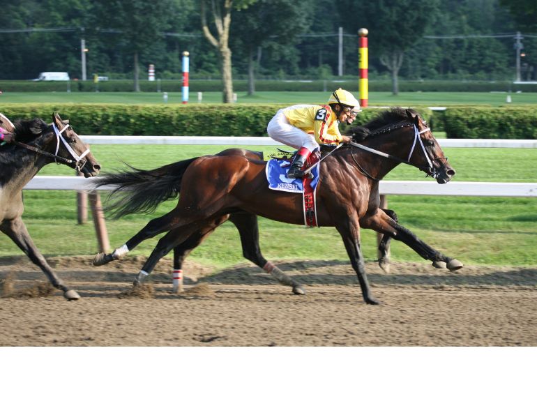 equine asthma latex, are horses allergic to latex, can latex cause equine asthma, researcher sam white nottingham trent