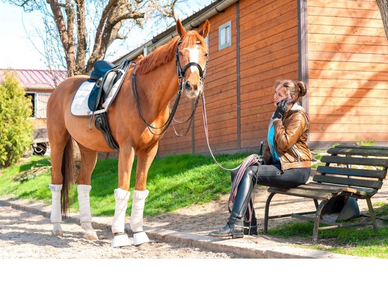 horse leasing contract, horse contract, equine contract, equine leasing, karen weslowski, miller thomson, leasing a horse, how to lease a horse