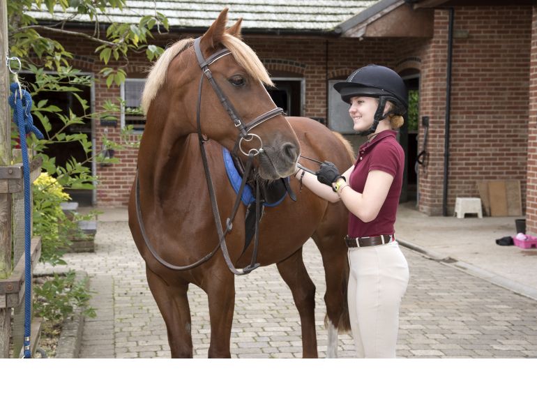 covid-19 horse barns, hygiene in equestrian stables covid-19, equine guelph health and safety