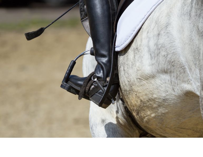 how to use a horse whip, whip usage equestrian sports, british show jumping, hartpury college conference, equine guelph on whips