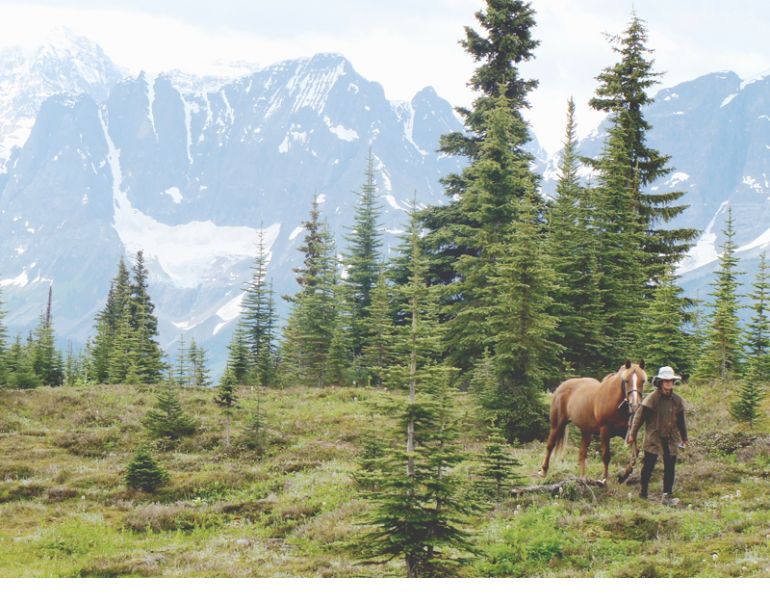 Tania Millen, Blue Creek Outfitting, McBride, BC, pack trips, holidays on horseback, equine holiday, trail riding, pack horse