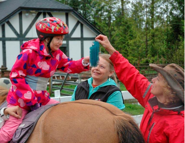 horses for therapy, mental health horses, horses to heal
