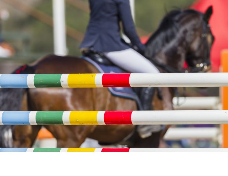 alexa linton whole horse, horse misbehaving, difficult horse, best way to train a horse, do horses have feelings?